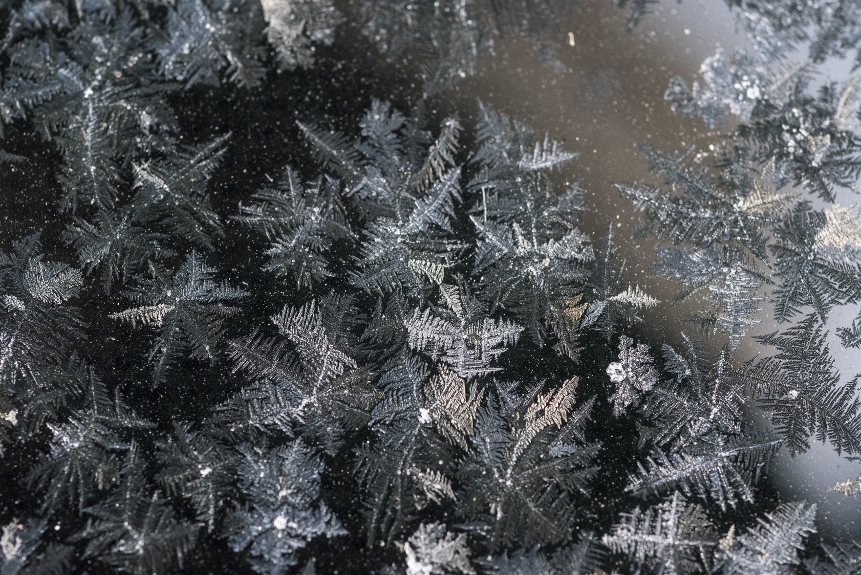 Ice